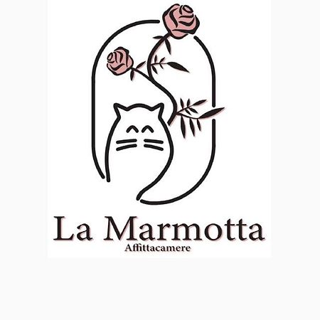 La Marmotta 호텔 Luserna San Giovanni 외부 사진