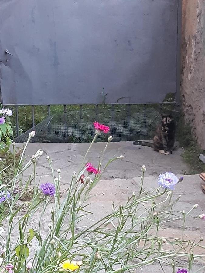 La Marmotta 호텔 Luserna San Giovanni 외부 사진